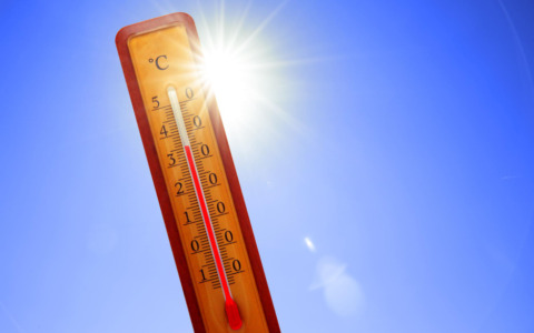Temperature record mettono a rischio coltivazioni e allevamenti