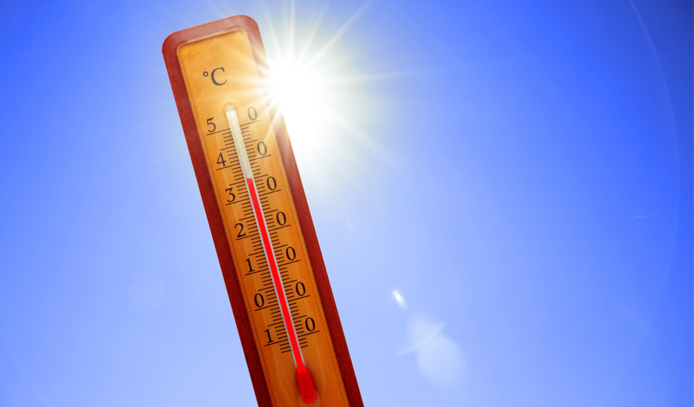 Temperature record mettono a rischio coltivazioni e allevamenti