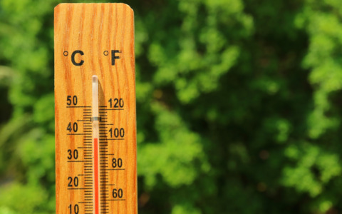 Caldo estremo, agricoltura in crisi tra raccolti e allevamenti