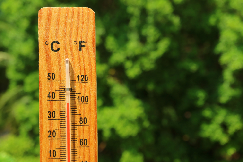 Caldo estremo, agricoltura in crisi tra raccolti e allevamenti