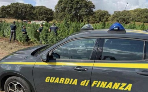 Denunciati per trasferimento di 200mila euro in Svizzera mentre percepivano aiuti