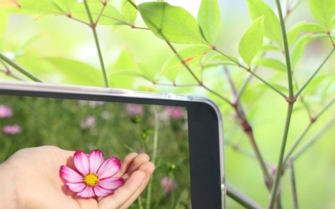 A Lucca il Pianeta Terra Festival esplora le forme di intelligenza